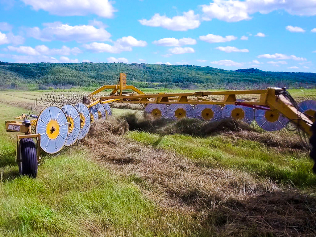 Bale King VR581 wheel rake